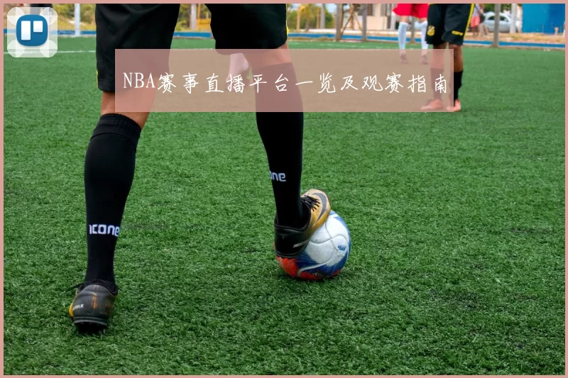 NBA赛事直播平台一览及观赛指南