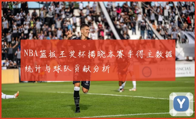 NBA篮板王奖杯揭晓本赛季得主数据统计与球队贡献分析