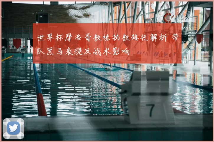 世界杯摩洛哥教练执教路径解析 带队黑马表现及战术影响