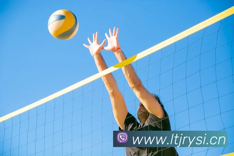 多媒体互动体验